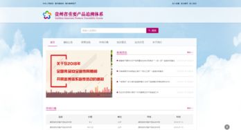 貴州電商云技術(shù)實(shí)力獲權(quán)威認(rèn)定，成就信息系統(tǒng)集成服務(wù)新標(biāo)桿